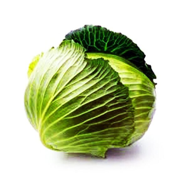 Cabbage Seeds