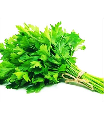 Coriander