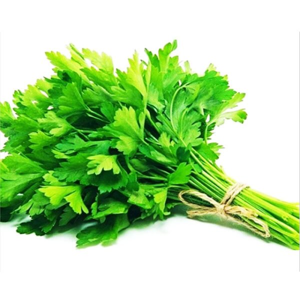 Coriander