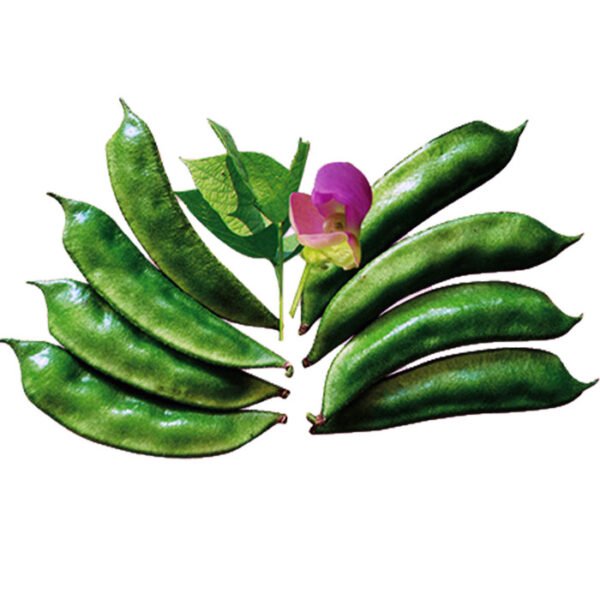 কেরালা জাতের সীম বীজ মিনি প্যাক