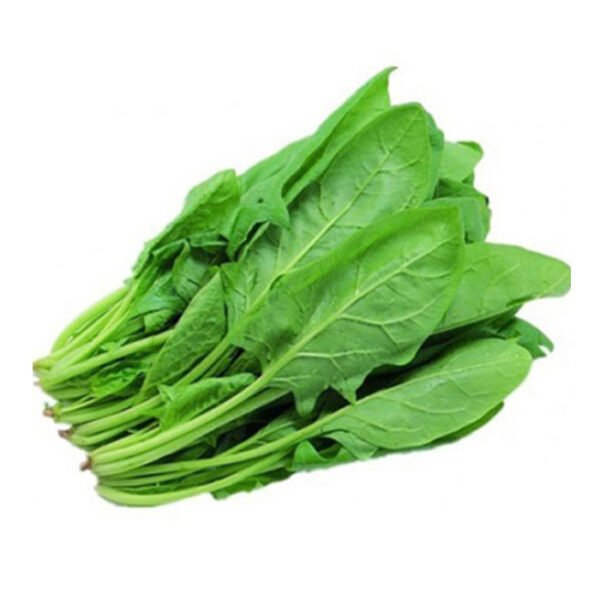 Palong Spinach Seeds