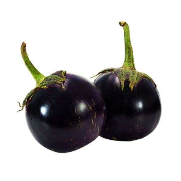 Brinjal