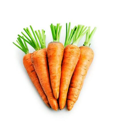 Carrot