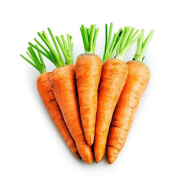 Carrot