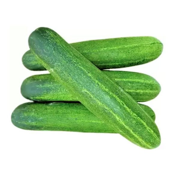 cucumber