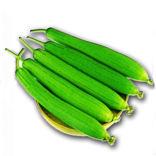 F1 হাইব্রিড ধুন্দুল বীজ