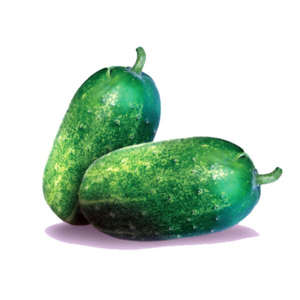 gherkin