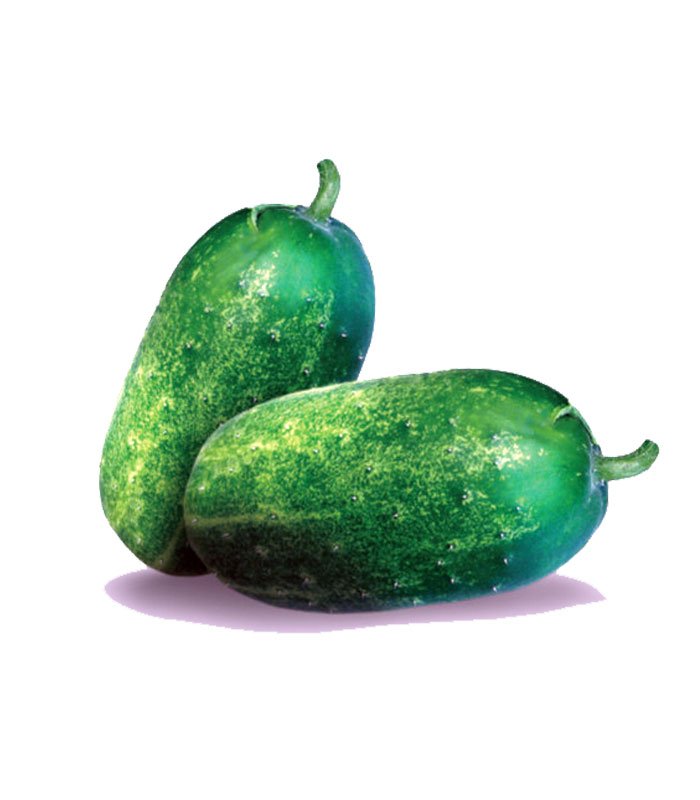 gherkin