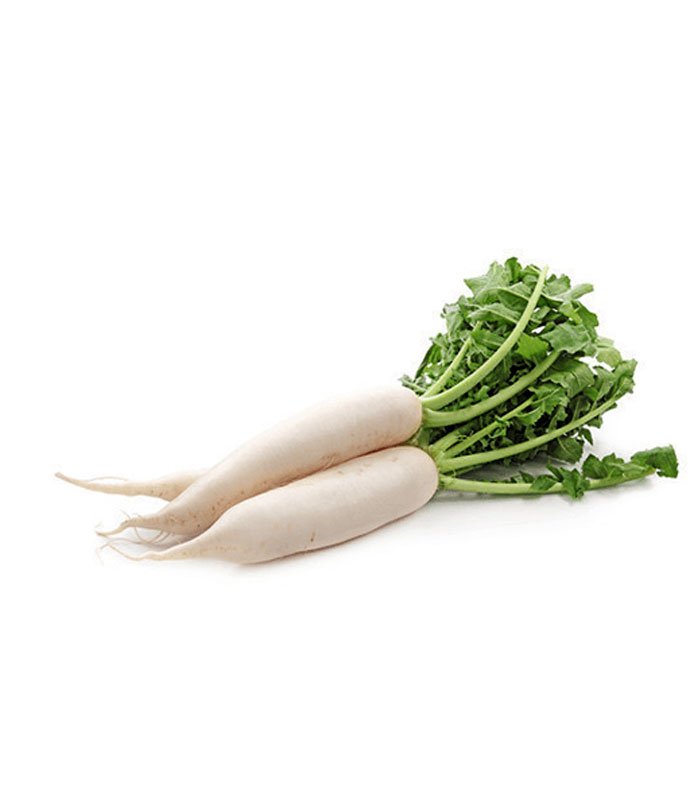 radish উন্নত জাতের সাদা মুলা বীজ মিনি প্যাক - ছবি 1